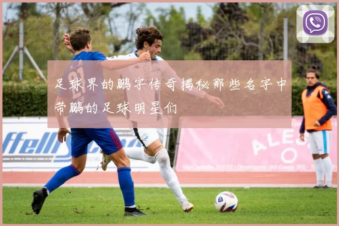 足球界的鹏字传奇揭秘那些名字中带鹏的足球明星们