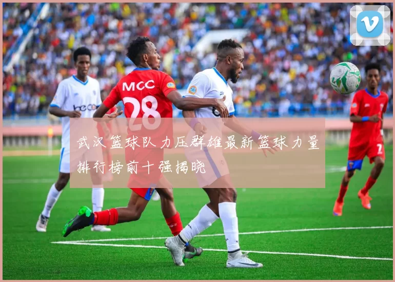 武汉篮球队力压群雄最新篮球力量排行榜前十强揭晓