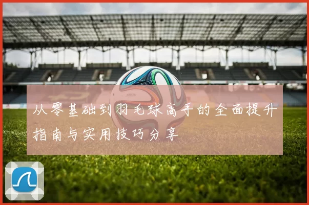 从零基础到羽毛球高手的全面提升指南与实用技巧分享
