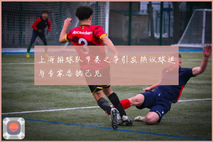上海排球队节奏之争引发热议球迷与专家各执己见