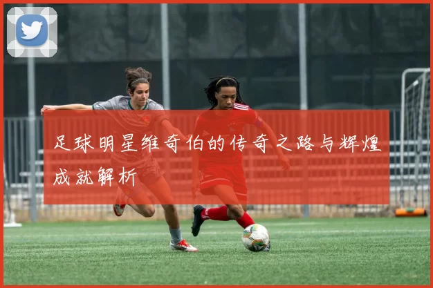 足球明星维奇伯的传奇之路与辉煌成就解析