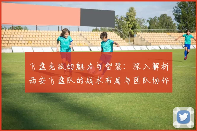 飞盘竞技的魅力与智慧：深入解析西安飞盘队的战术布局与团队协作