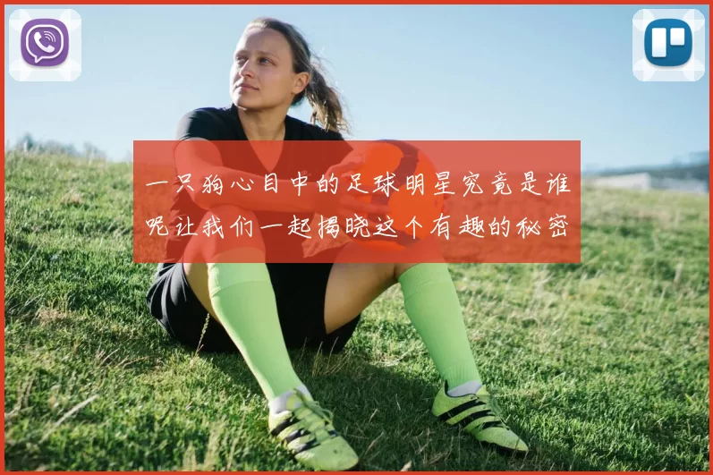 一只狗心目中的足球明星究竟是谁呢让我们一起揭晓这个有趣的秘密