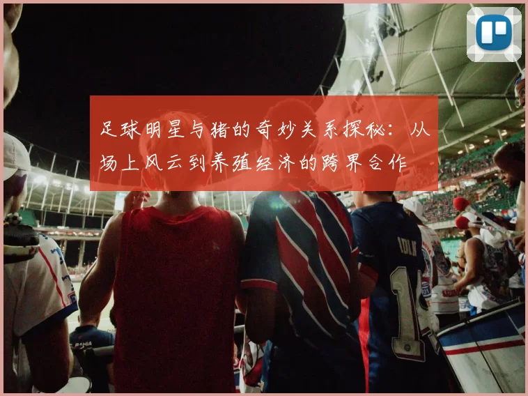 足球明星与猪的奇妙关系探秘：从场上风云到养殖经济的跨界合作