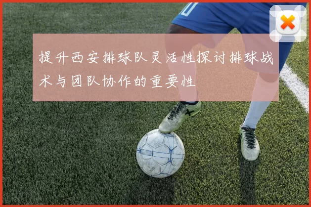 提升西安排球队灵活性探讨排球战术与团队协作的重要性