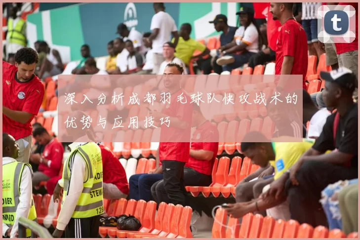 深入分析成都羽毛球队快攻战术的优势与应用技巧