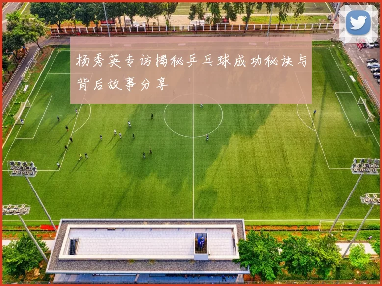 杨秀英专访揭秘乒乓球成功秘诀与背后故事分享