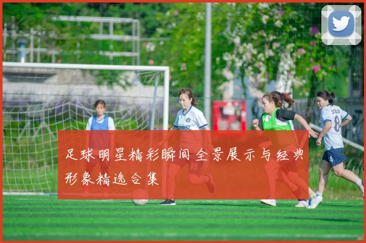足球明星精彩瞬间全景展示与经典形象精选合集