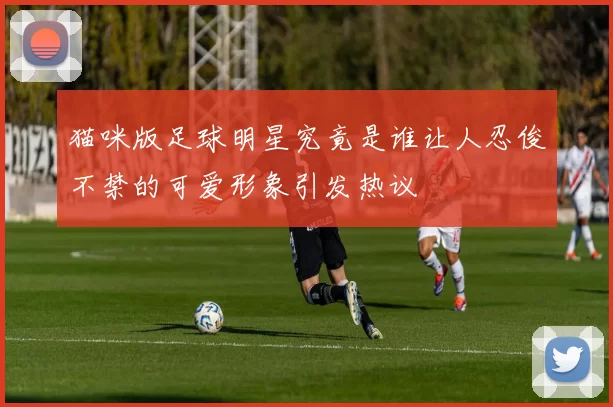 猫咪版足球明星究竟是谁让人忍俊不禁的可爱形象引发热议