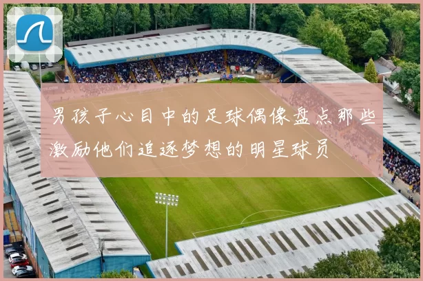 男孩子心目中的足球偶像盘点那些激励他们追逐梦想的明星球员