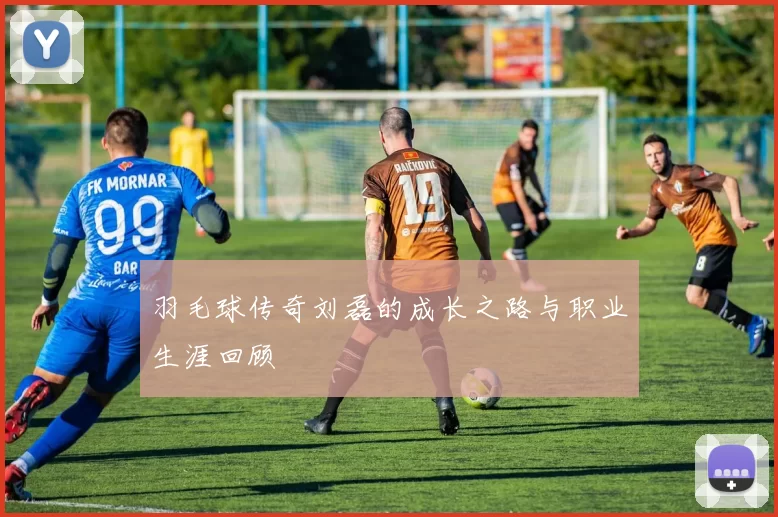 羽毛球传奇刘磊的成长之路与职业生涯回顾