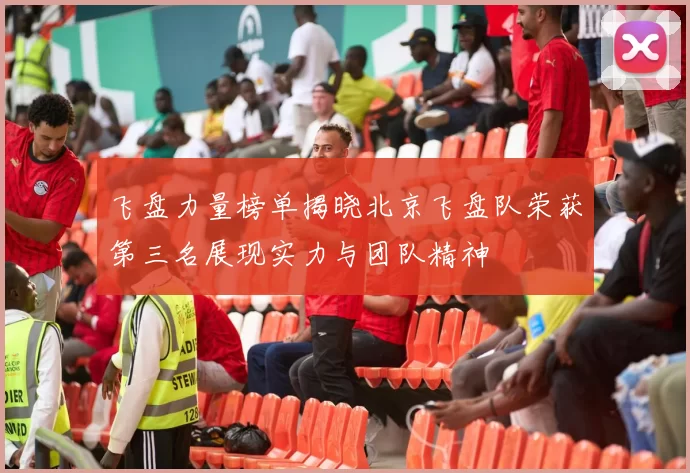 飞盘力量榜单揭晓北京飞盘队荣获第三名展现实力与团队精神