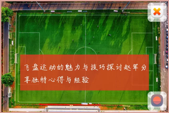 飞盘运动的魅力与技巧探讨赵军分享独特心得与经验
