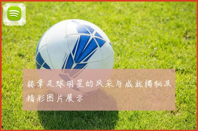 赫章足球明星的风采与成就揭秘及精彩图片展示