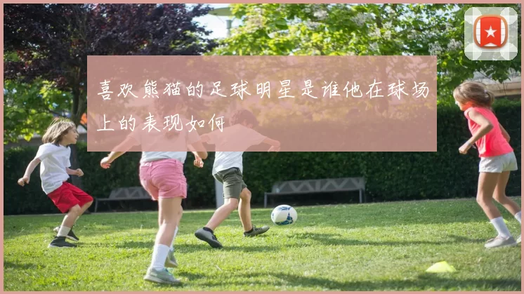 喜欢熊猫的足球明星是谁他在球场上的表现如何