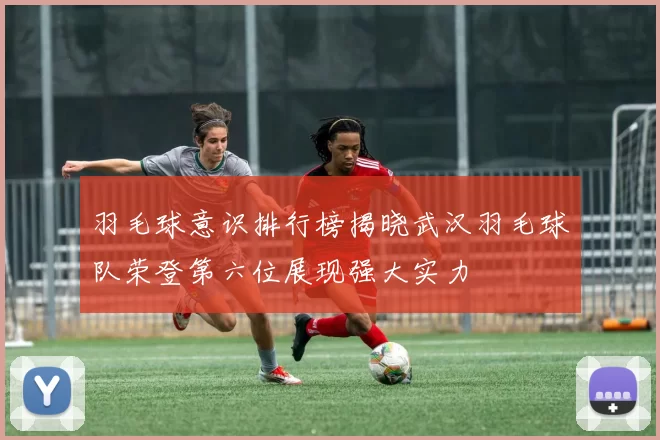 羽毛球意识排行榜揭晓武汉羽毛球队荣登第六位展现强大实力