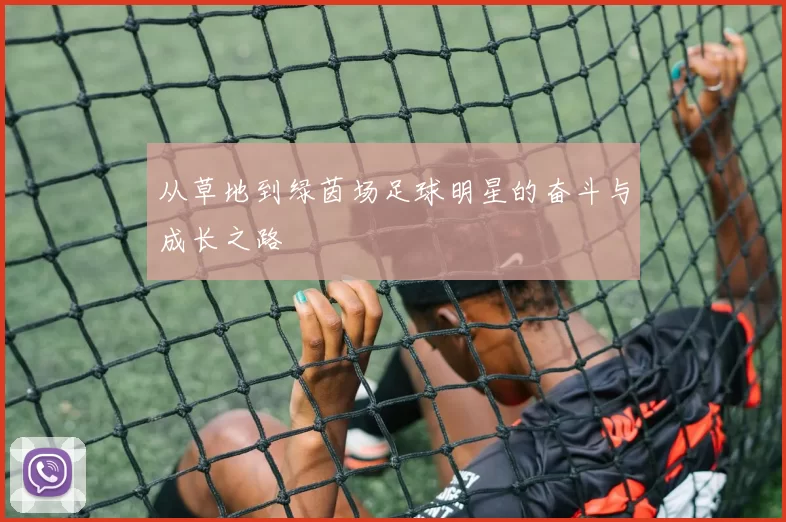 从草地到绿茵场足球明星的奋斗与成长之路
