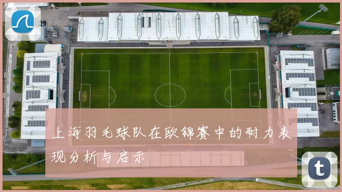 上海羽毛球队在欧锦赛中的耐力表现分析与启示