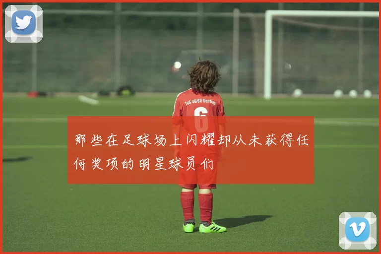 那些在足球场上闪耀却从未获得任何奖项的明星球员们