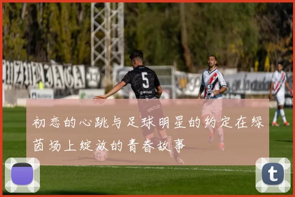 初恋的心跳与足球明星的约定在绿茵场上绽放的青春故事
